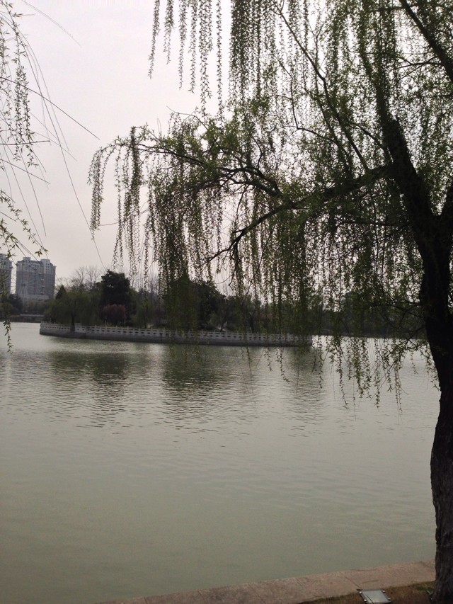 ~sW(xu)؇Jɶȸ߆᣿~sW(xu)؇ҹнYΣ