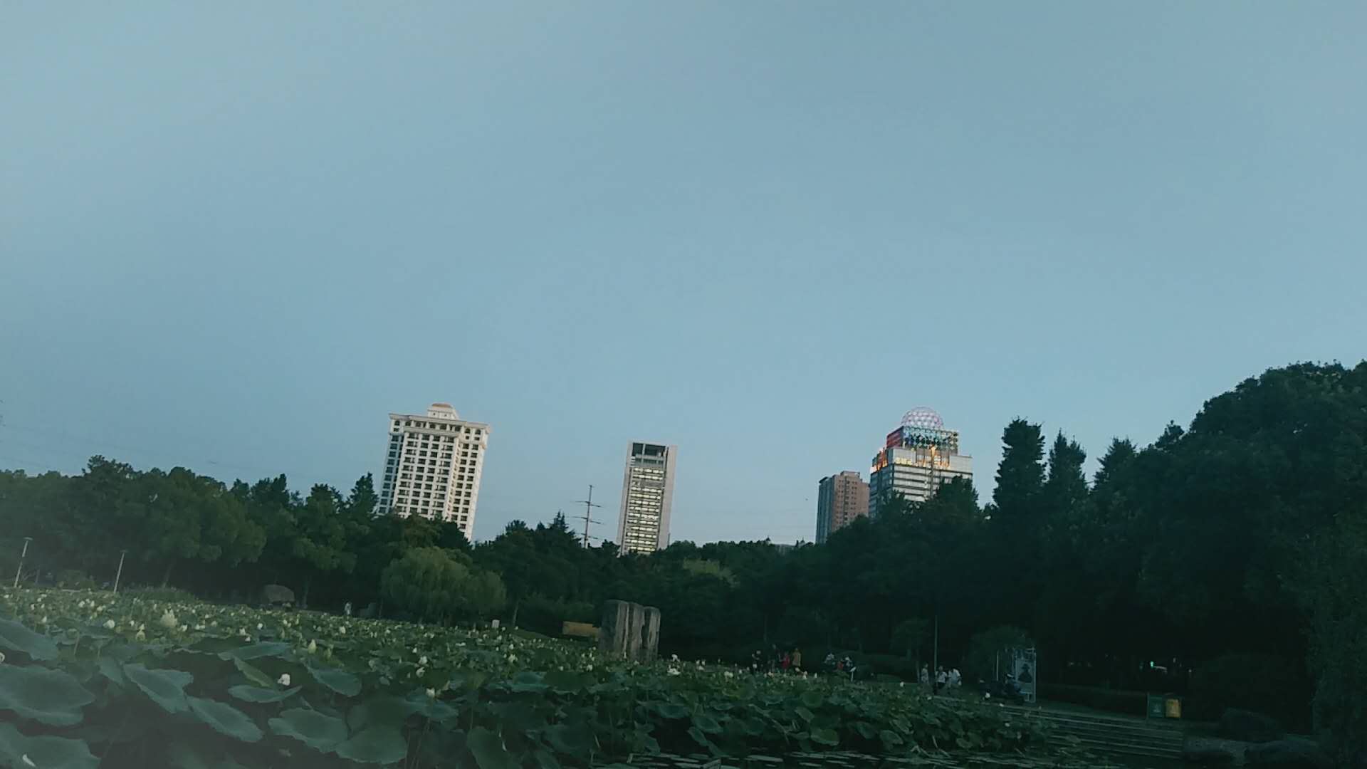 ̎YCꌏһΣҪʲôϣ˲ϸôk