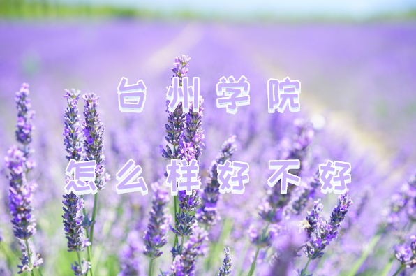 _݌WԺôӺòãƌIԺУڱȫ